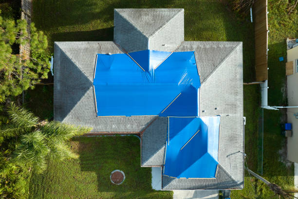 Best Steel Roofing  in Gold Canyon, AZ