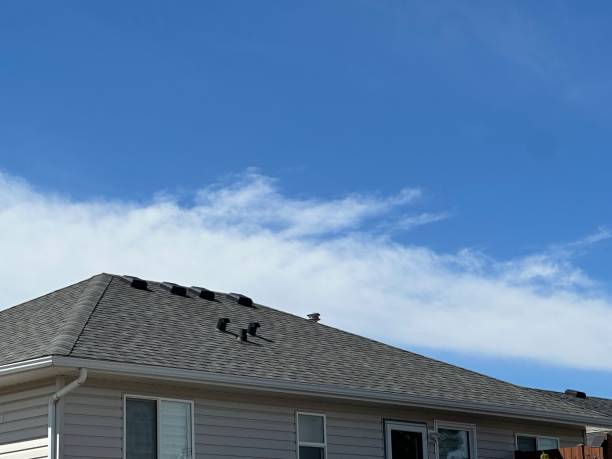 Best Roof Moss and Algae Removal  in Gold Canyon, AZ